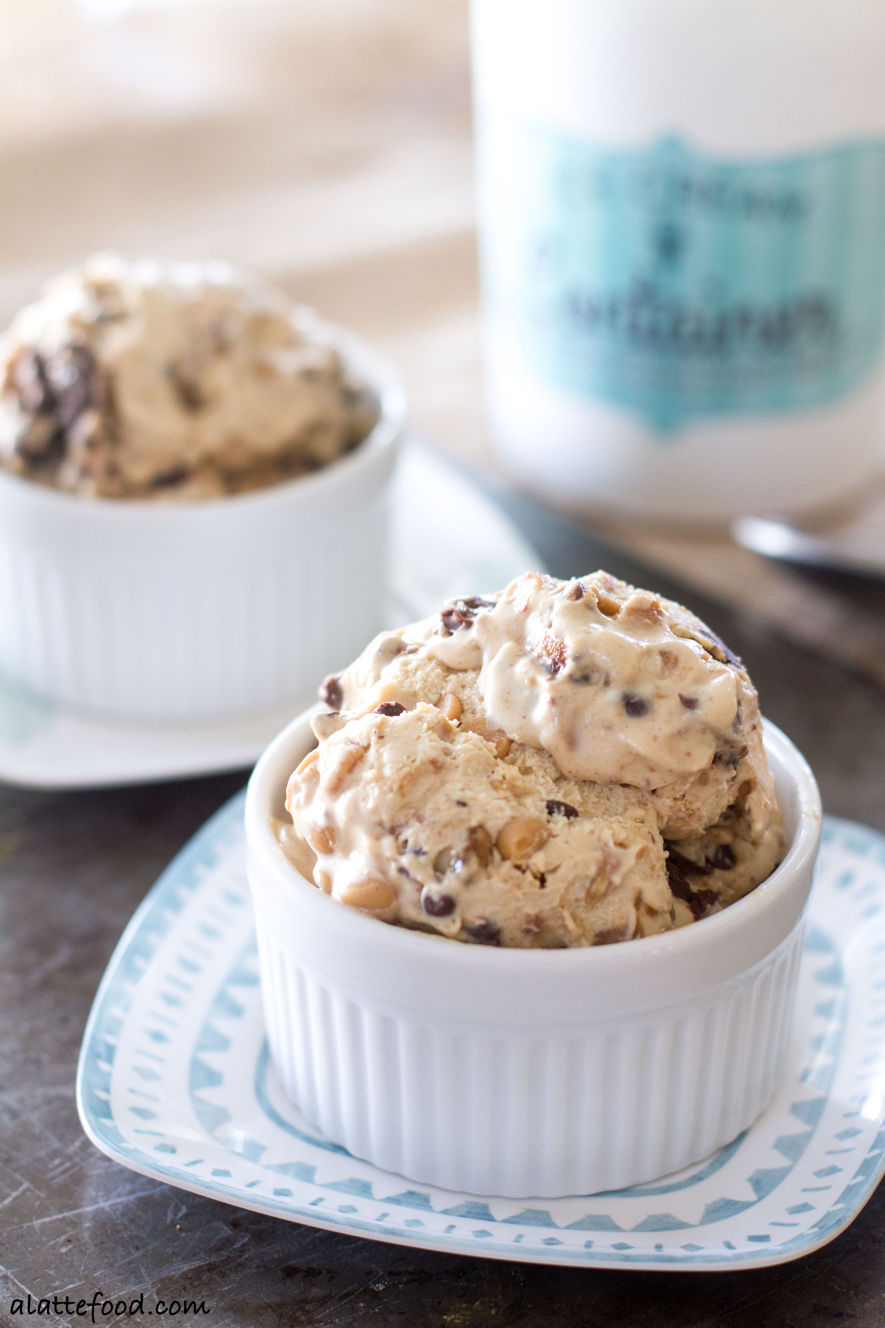 Peanut Butter Chocolate Chip Ice Cream