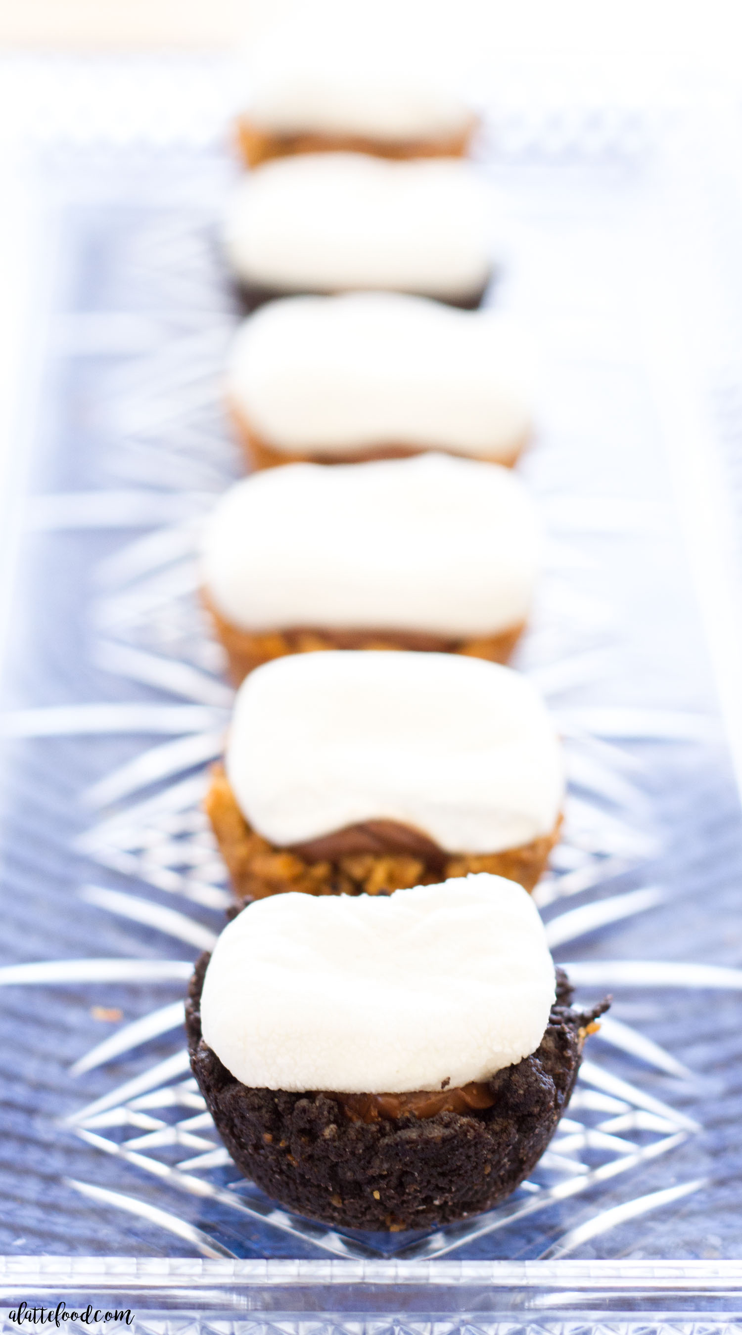 MINI SMORES BITES
