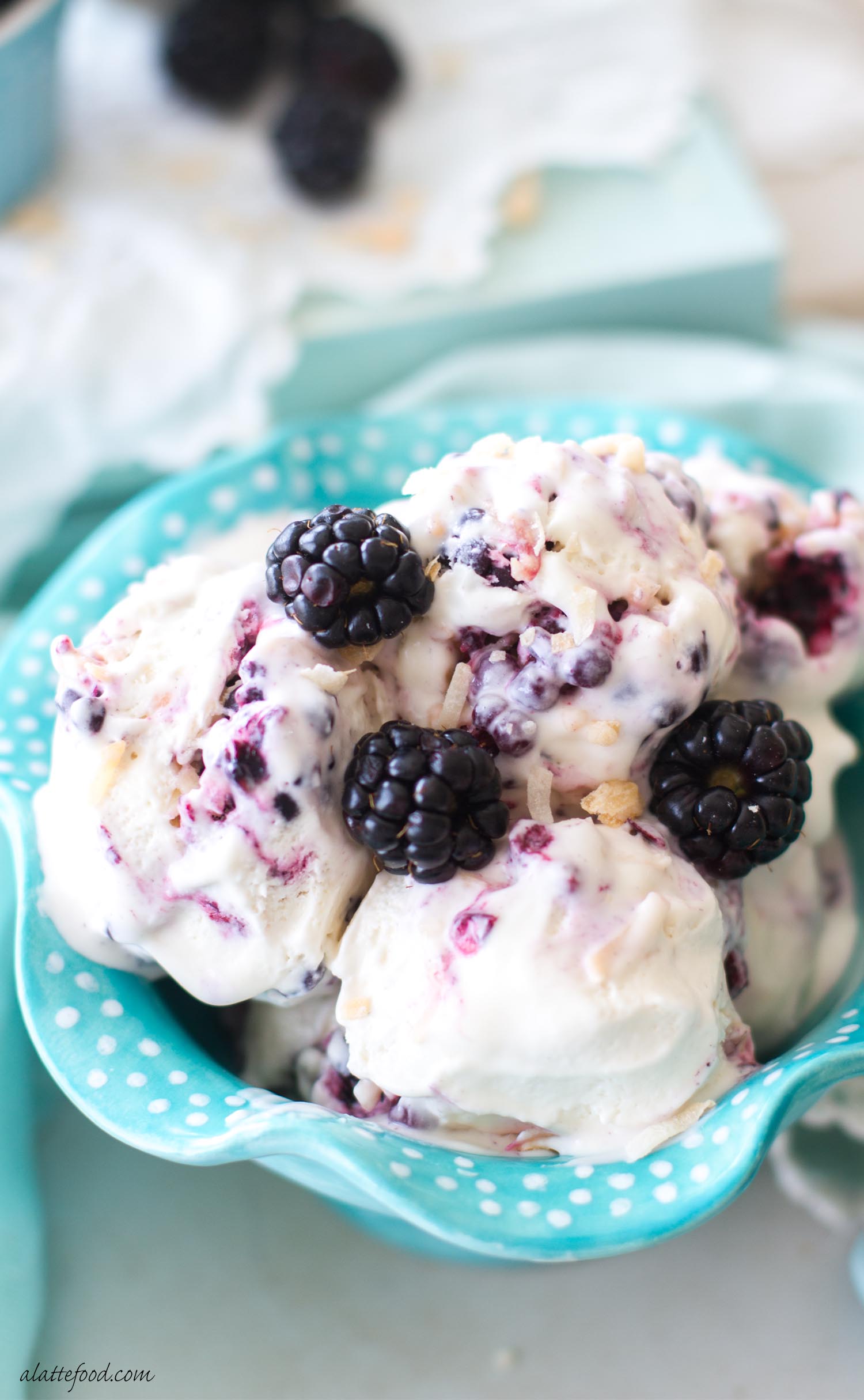 black berry ice cream black berry ice cream